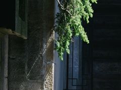 -绩溪龙川景区