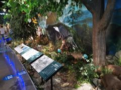 -湖南省地质博物馆