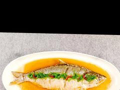 -淮食·雅宴(北大博雅国际酒店)
