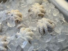 -铭聚章鱼土笋冻(松柏店)