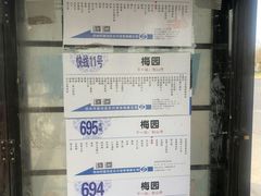 -林屋梅海青梅保护基地