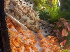 -炭烤麻里·臻选自助烤肉料理(观音桥大融城店)