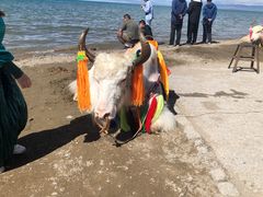 -青海湖国家重点风景名胜区