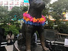 -涩谷全向十字路口