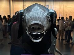 -广西壮族自治区博物馆