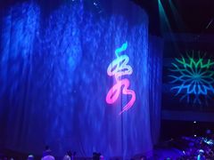 -水秀国际大剧院