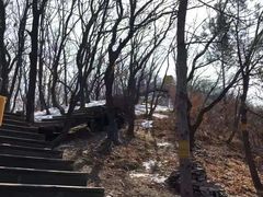 -帽儿山国家森林公园