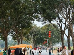 -光明小镇欢乐田园