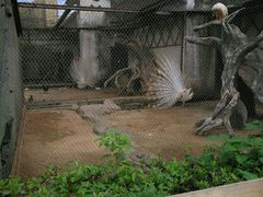 -南昌动物园