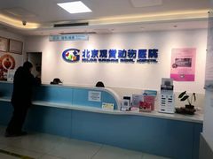 -北京观赏动物医院·24小时大型综合·猫专科·异宠专科