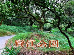 -贤江公园