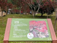 -广州市帽峰山景区