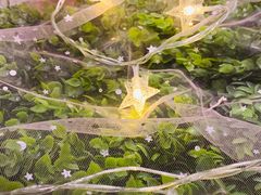 -57度湘(王府井10F店)