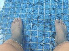 -兴芮温泉度假区