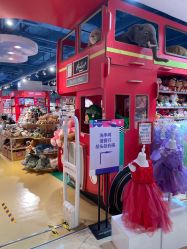 点击看大图 -Hamleys哈姆雷斯(东方福来德店)