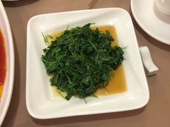 米茜-新南华大酒店(广中店)