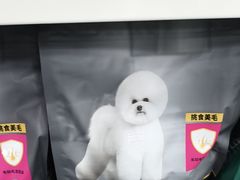 -宠颐生宠物医院外科·内科·皮肤科·影像科(石龙店)