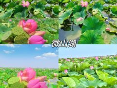 -台儿庄古城