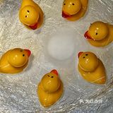 在北京100+💰就能吃到肥美的龙虾❓
