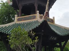 -白帝城·瞿塘峡景区