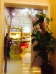 -梦莲娜美容连锁机构