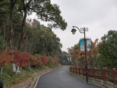 -杭州半山国家森林公园