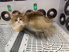 -FAELING PETS美天灵宠物(富力广场店)