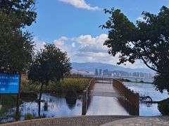 -洱海月湿地公园