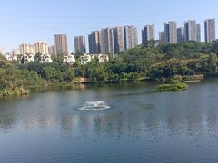-重庆彩云湖湿地公园
