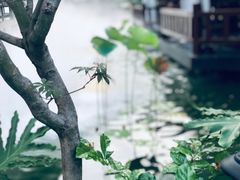 -濮园 · 四合院餐厅