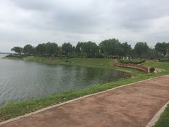 -丁香湖公园