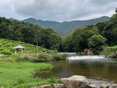-广州市石门国家森林公园