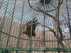 -吉林市朱雀山国家森林公园