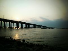 -宝安西湾红树林湿地公园