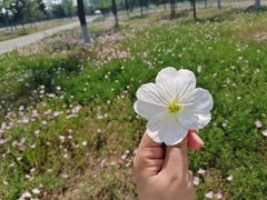 -汉长安城未央宫国家考古遗址公园