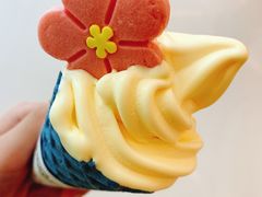 -麦当劳(合肥之心城店)