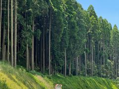 -上色见熊野座神社