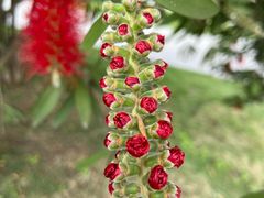 -眉山湿地公园(东坡区)