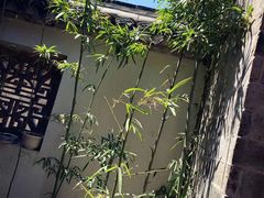 -前童古镇