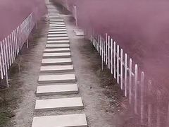 -嘉北郊野公园
