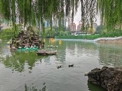 -团结湖公园