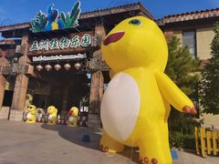 -南宫五洲植物乐园