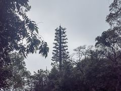 -东莞观音山旅游风景区