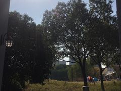 -杭州城北体育公园