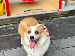 -DQ·蛋糕·冰淇淋(五角场万达店)