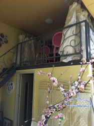 -飞鱼婚纱摄影(宏福大厦店)