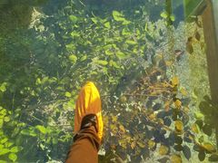 -十渡东湖港风景区