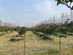 -前小桔亲子创意农场·草莓采摘·露营烧烤