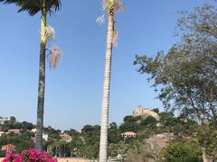 -鼓浪屿钢琴博物馆