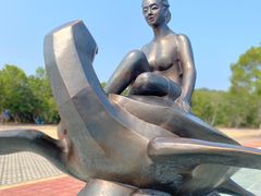 -广东惠东海龟国家级自然保护区